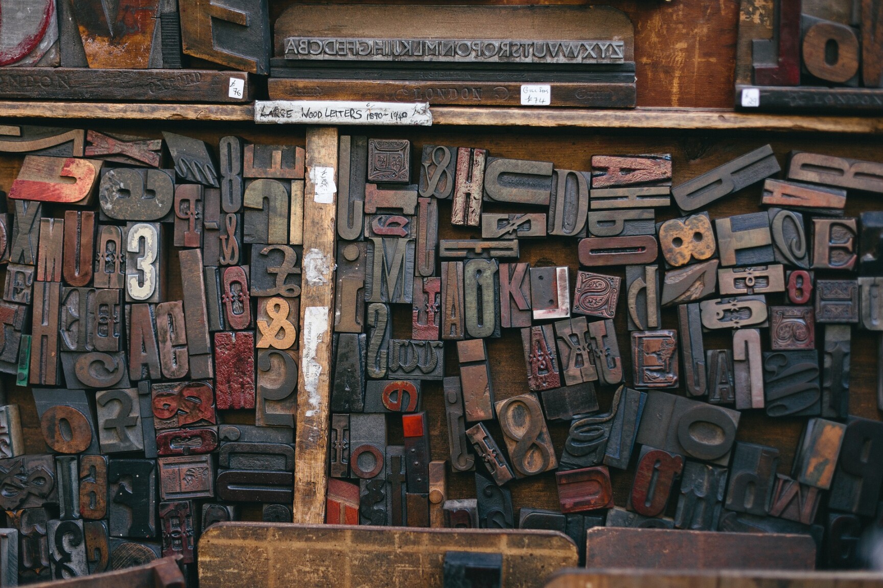 woodtype 846089 1920